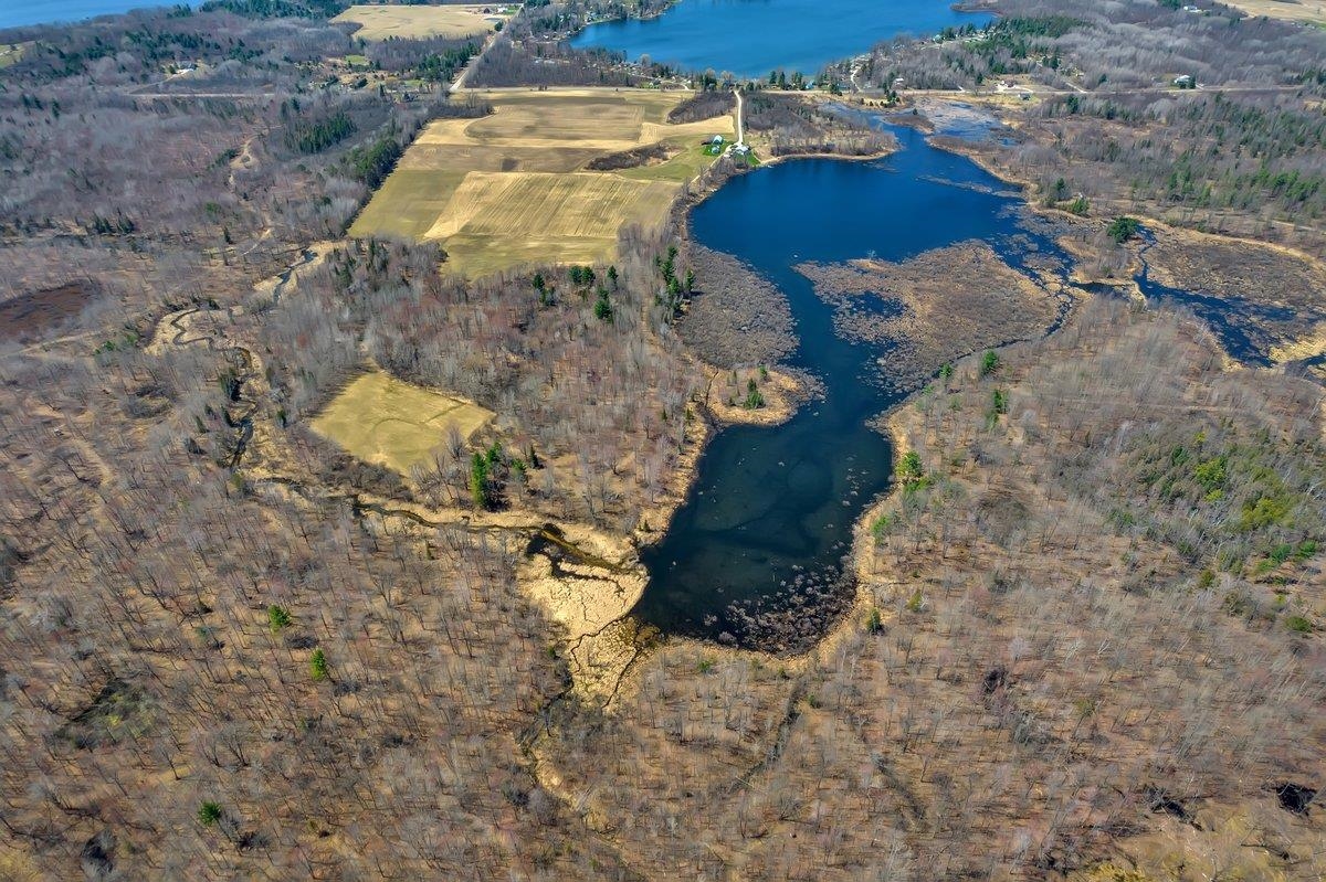 4374 East County Line Road Hale, MI 48739 - Photo 8 of 23