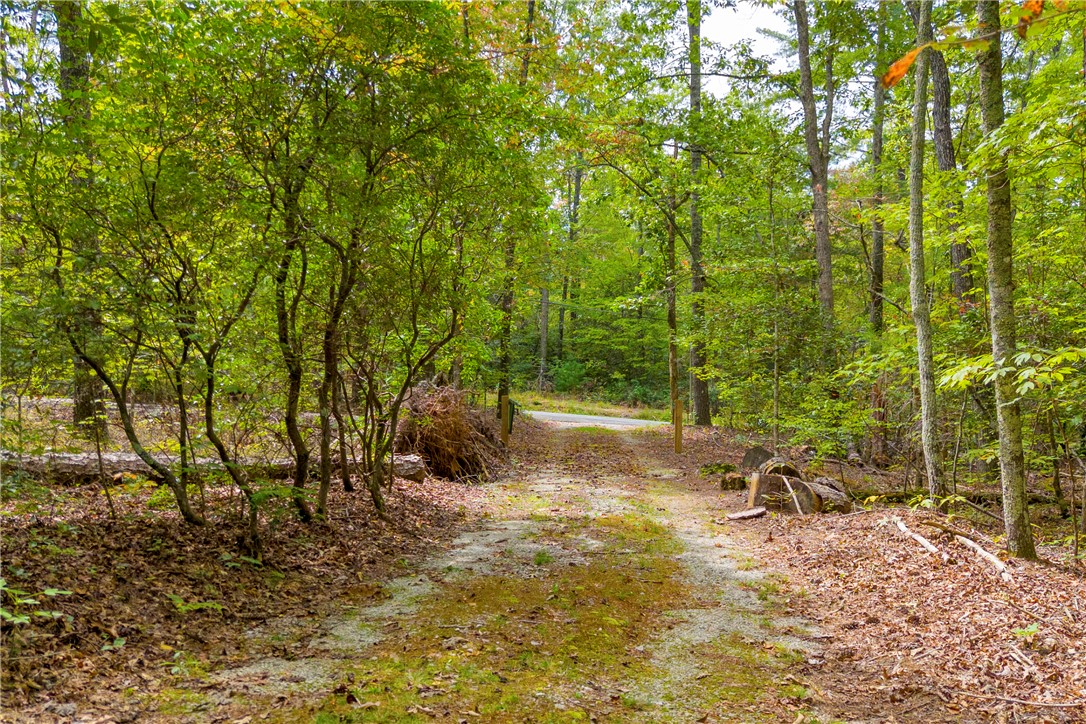 525 Blueberry Lane Mountain Rest, SC 29664 - Photo 11 of 43