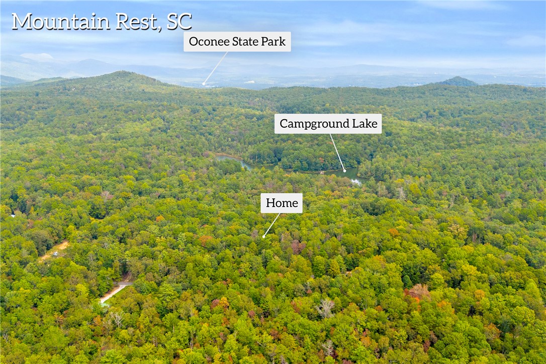 525 Blueberry Lane Mountain Rest, SC 29664 - Photo 39 of 43