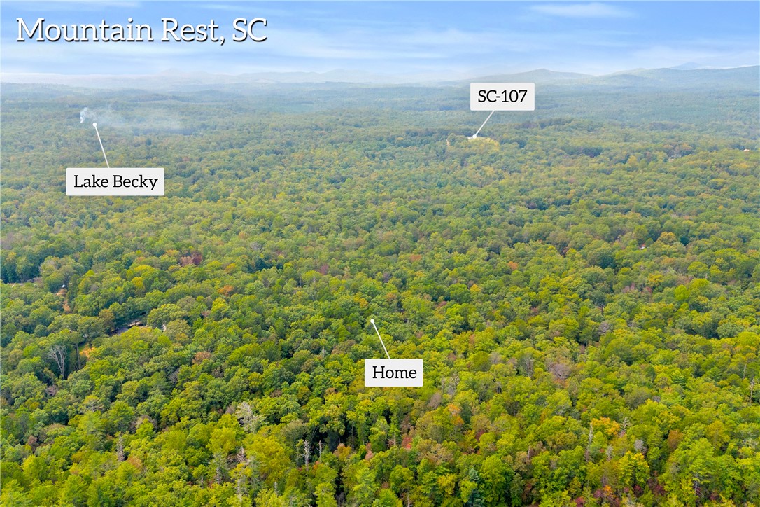 525 Blueberry Lane Mountain Rest, SC 29664 - Photo 40 of 43