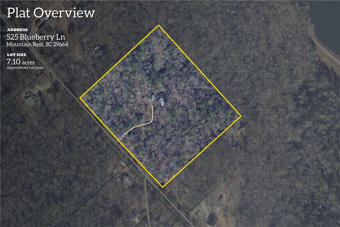 525 Blueberry Lane Mountain Rest, SC 29664 - Photo 4 of 43