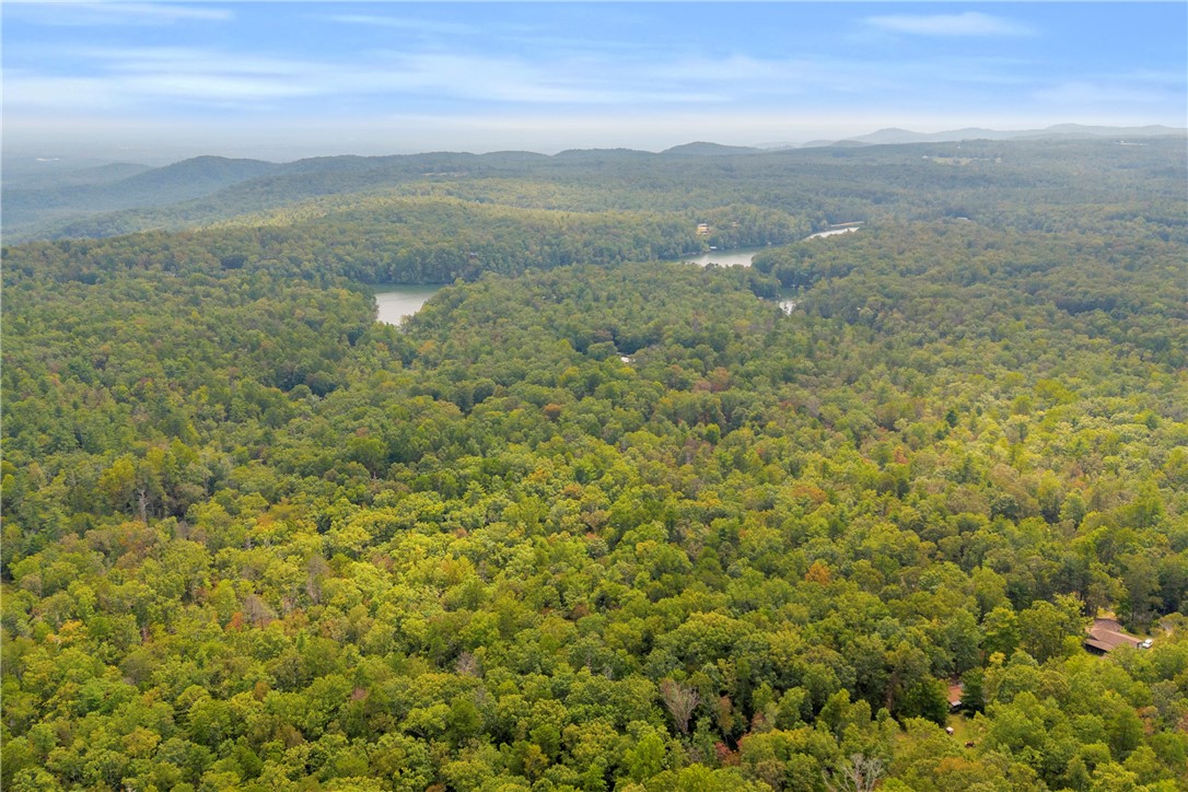 525 Blueberry Lane Mountain Rest, SC 29664 - Photo 43 of 43