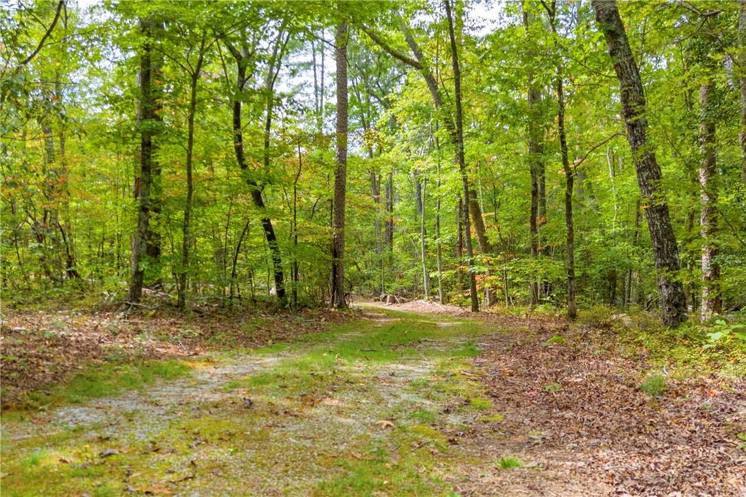 525 Blueberry Lane Mountain Rest, SC 29664 - Photo 10 of 43