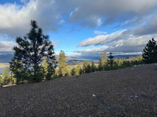 $1,750,000 | 39909 Mattox Way, Davenport, WA 99122