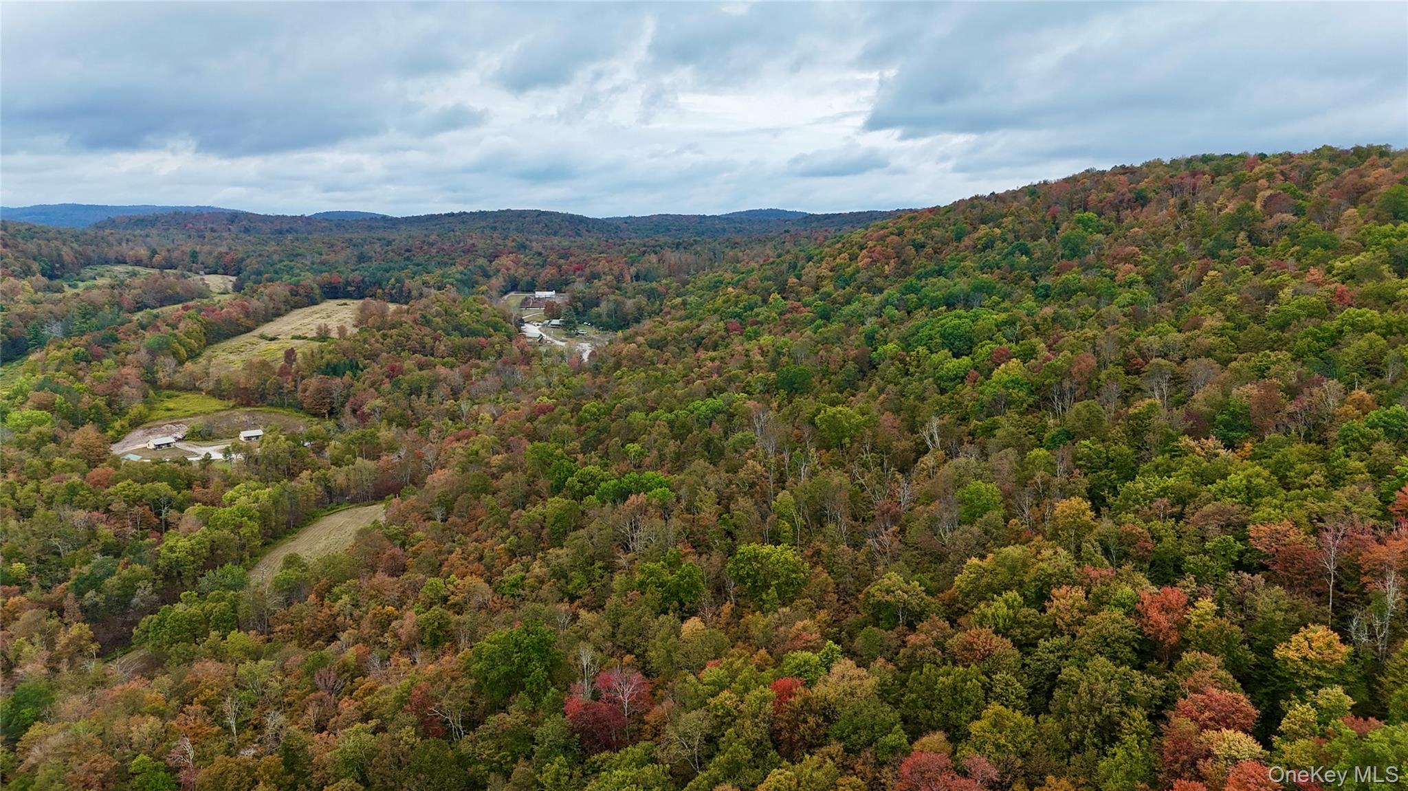 216 Neer Road Long Eddy, NY 12760 - Photo 12 of 48
