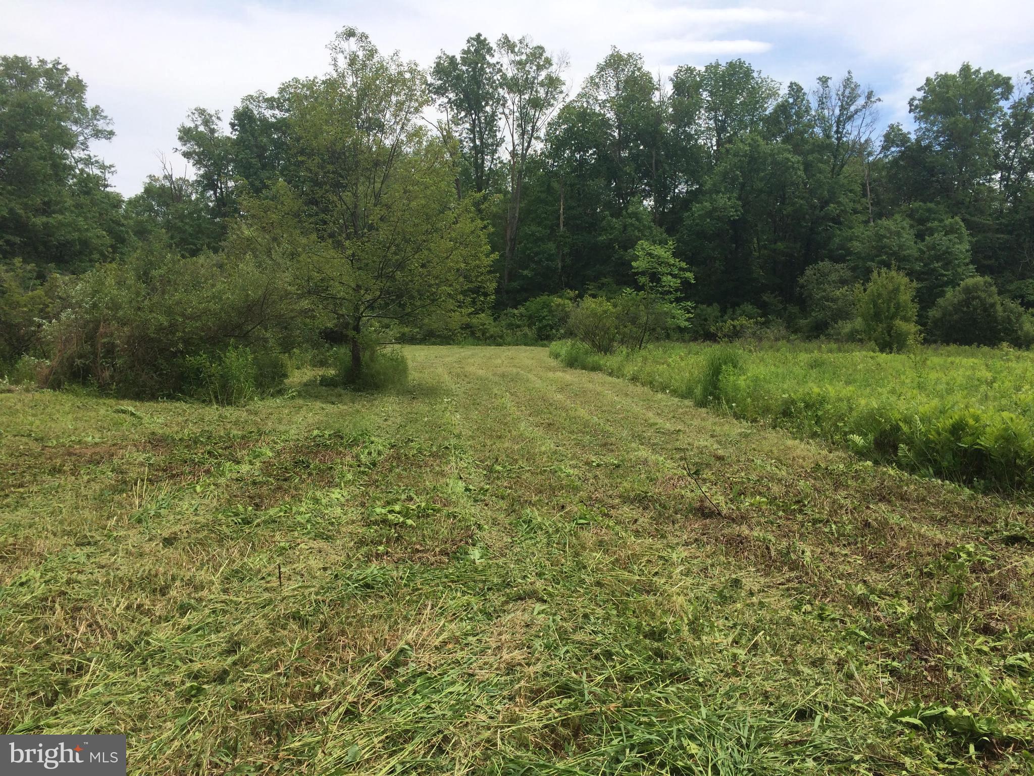 0 Rocky Ridge Road Quakertown, PA 18951 - Photo 1 of 8 Septic will be approx. by small tree.