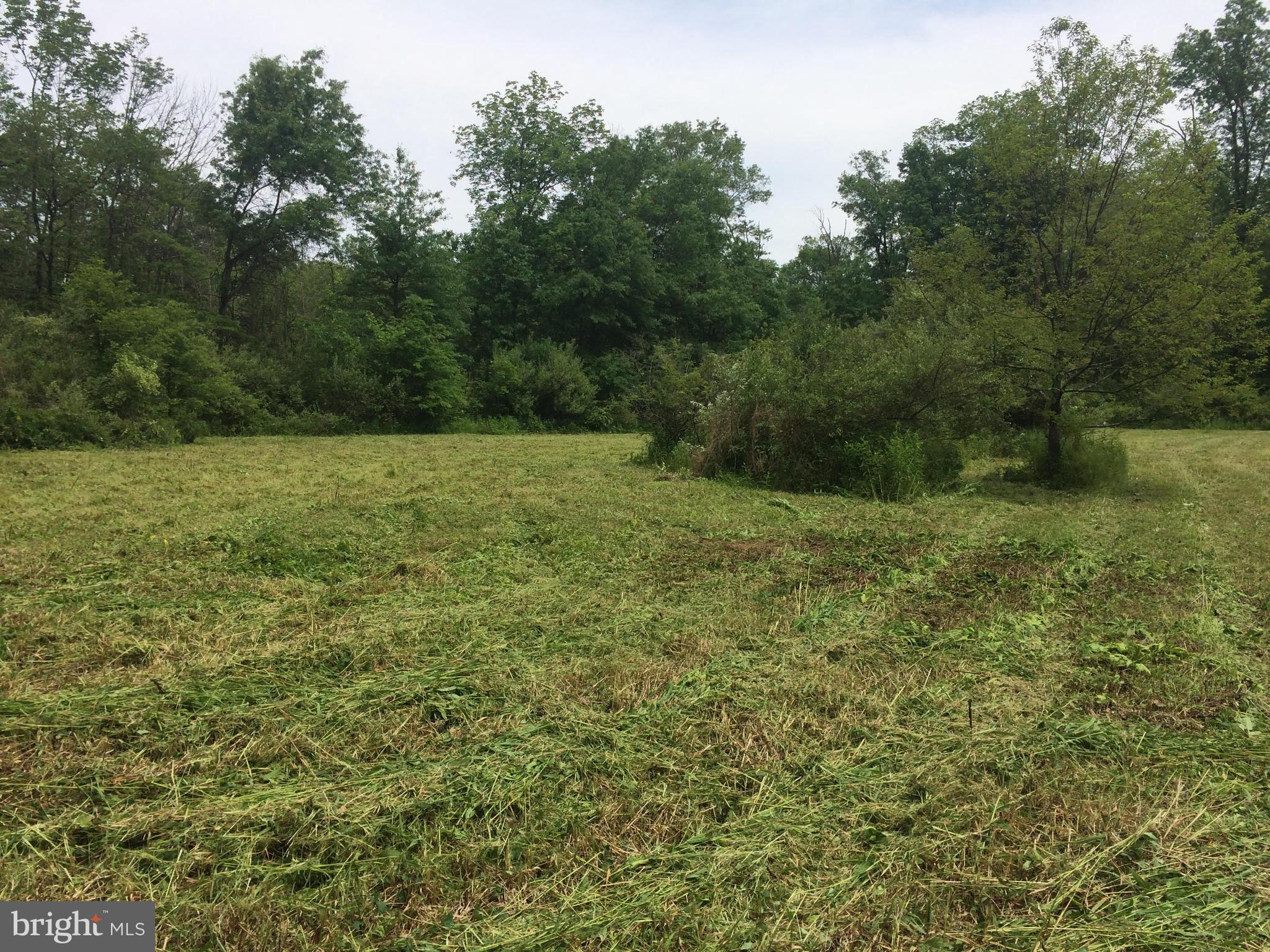 0 Rocky Ridge Road Quakertown, PA 18951 - Photo 3 of 8 Open field-looking to woods-length -goes into wood