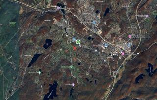 56-58 Still Road Monroe, NY 10950 - Photo 16 of 18 a picture of tree