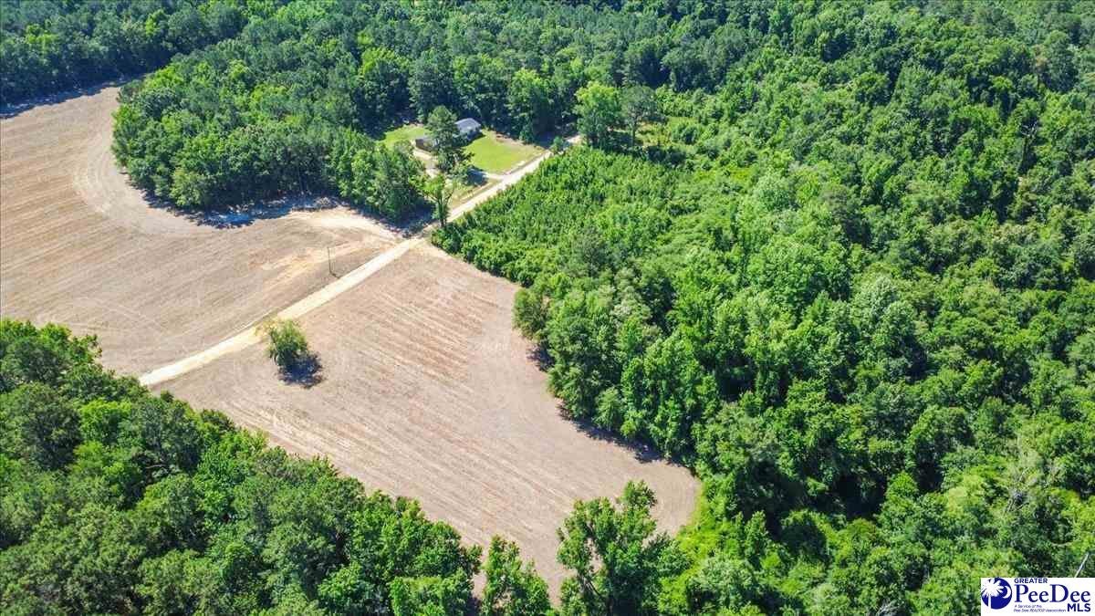 Tbd Lum Vereen Road Nichols, SC 29581 - Photo 12 of 13 Gallery Image 12