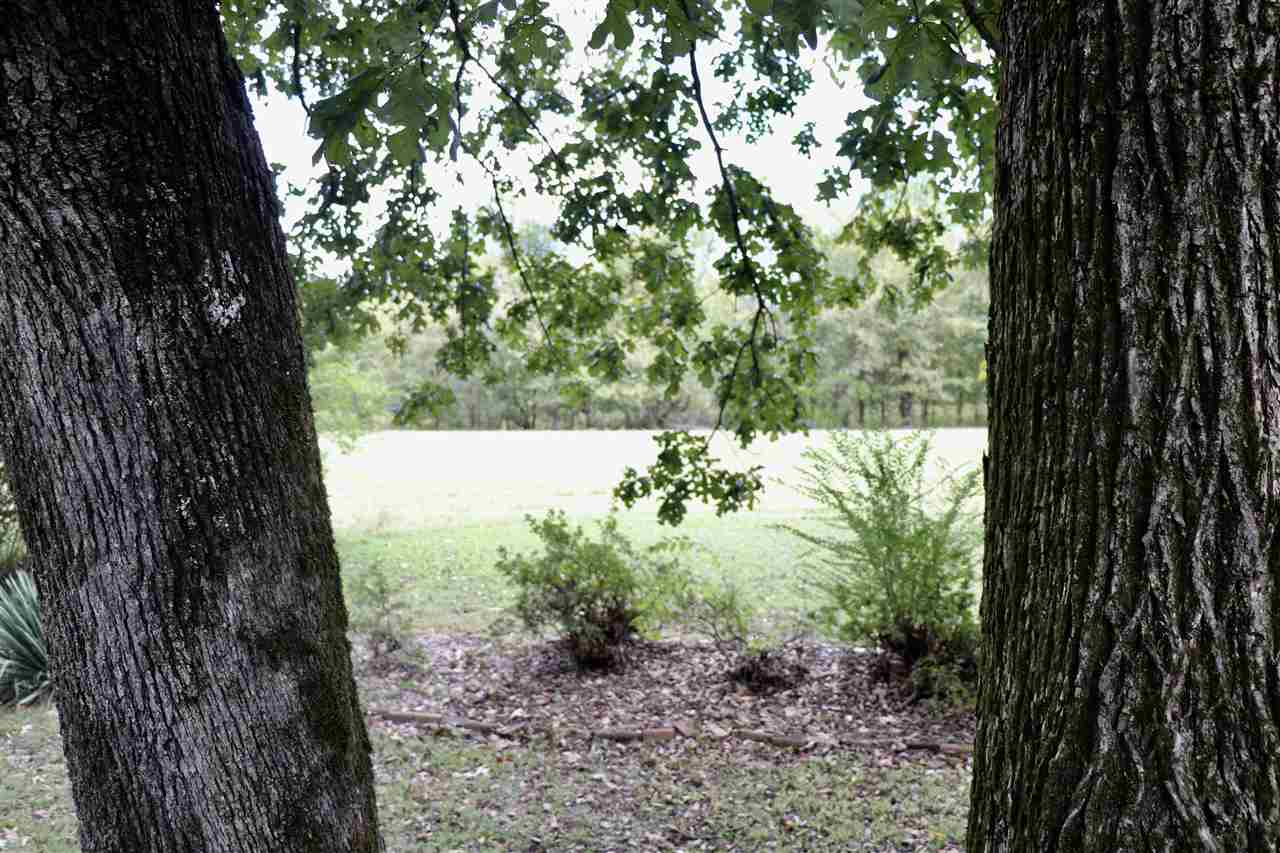 711 Hawkins Road Burlison, TN 38015 - Photo 16 of 25 Gallery Image 16