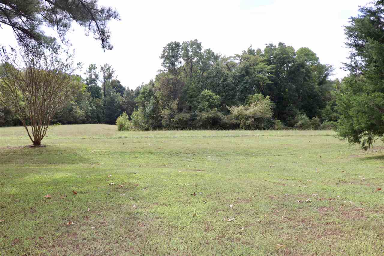 711 Hawkins Road Burlison, TN 38015 - Photo 19 of 25 Gallery Image 19
