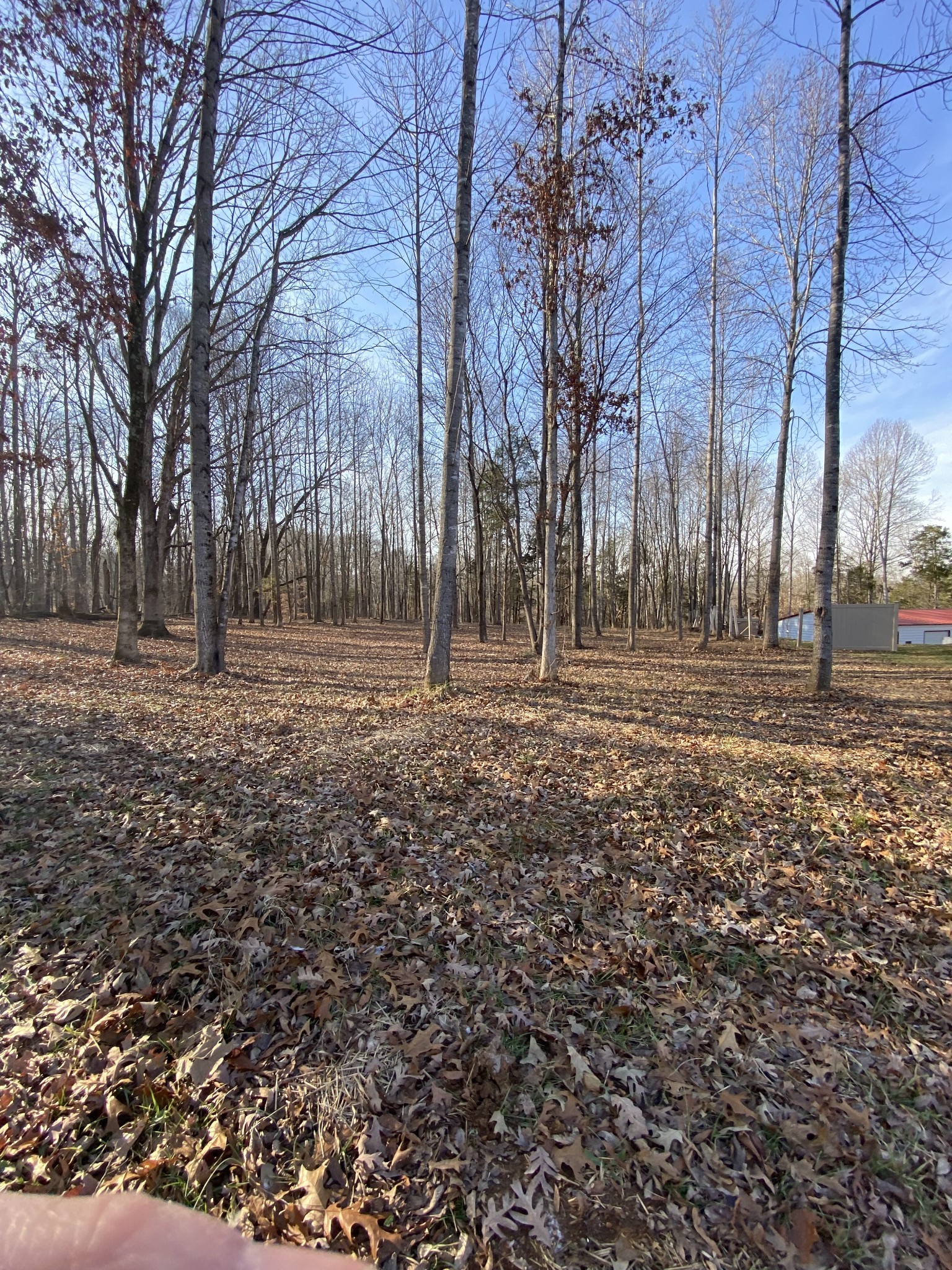 4429 Memory Lane Adams, TN 37010 - Photo 5 of 10 Gallery Image 5