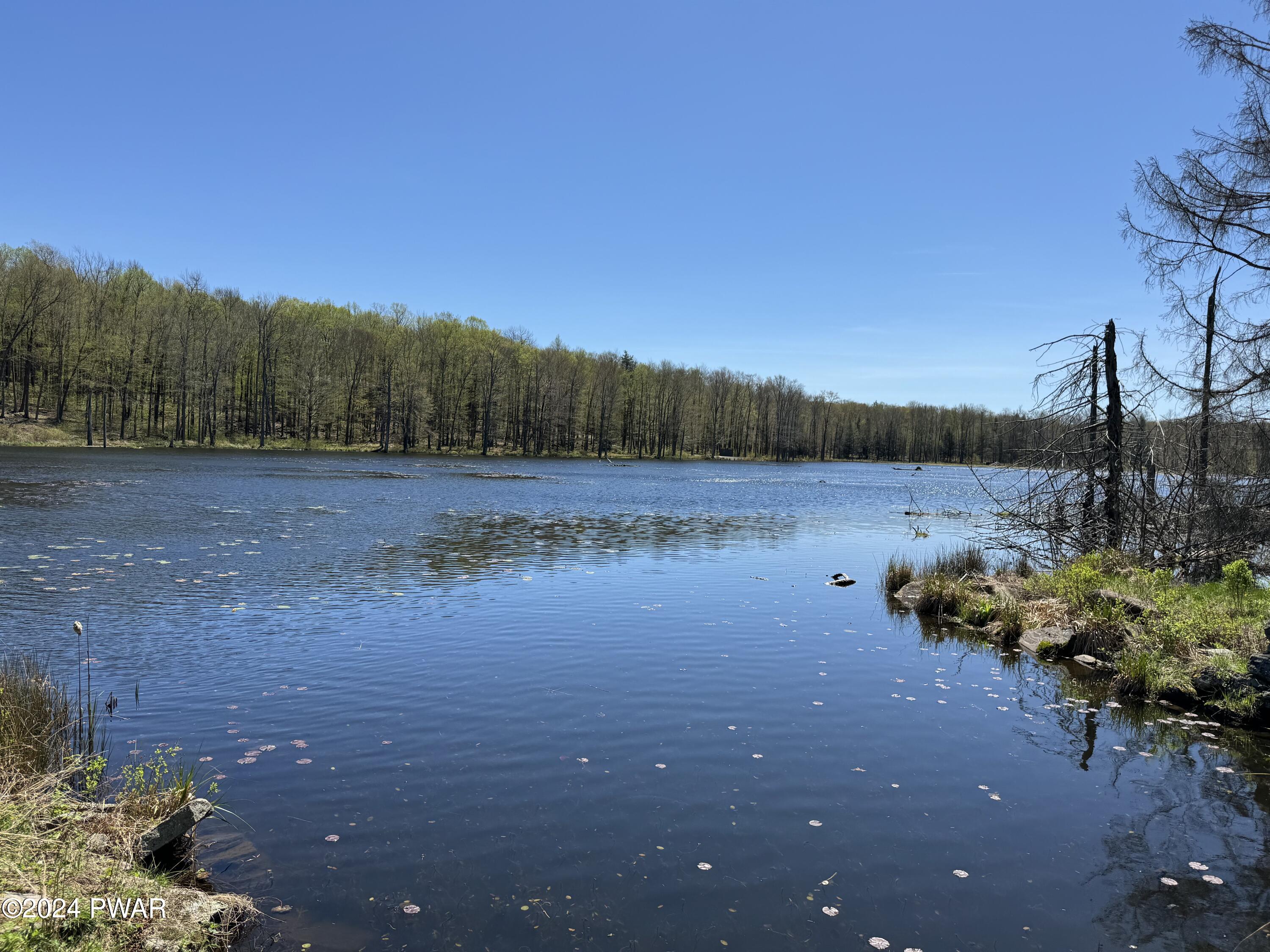 Duck Harbor Road Equinunk, PA 18417 - Photo 1 of 4