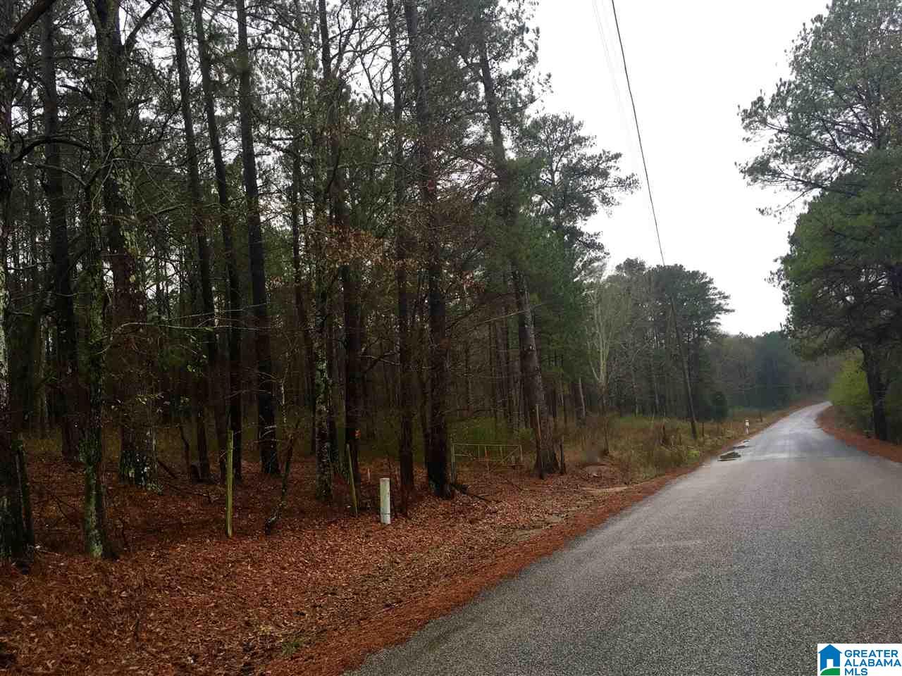 1245 Eureka Road, Unit 2 Lincoln, AL 35096 - Photo 1 of 32