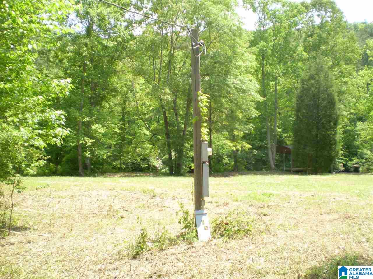 298 Waldrop Road, Unit TR 12 Ashville, AL 35953 - Photo 7 of 29
