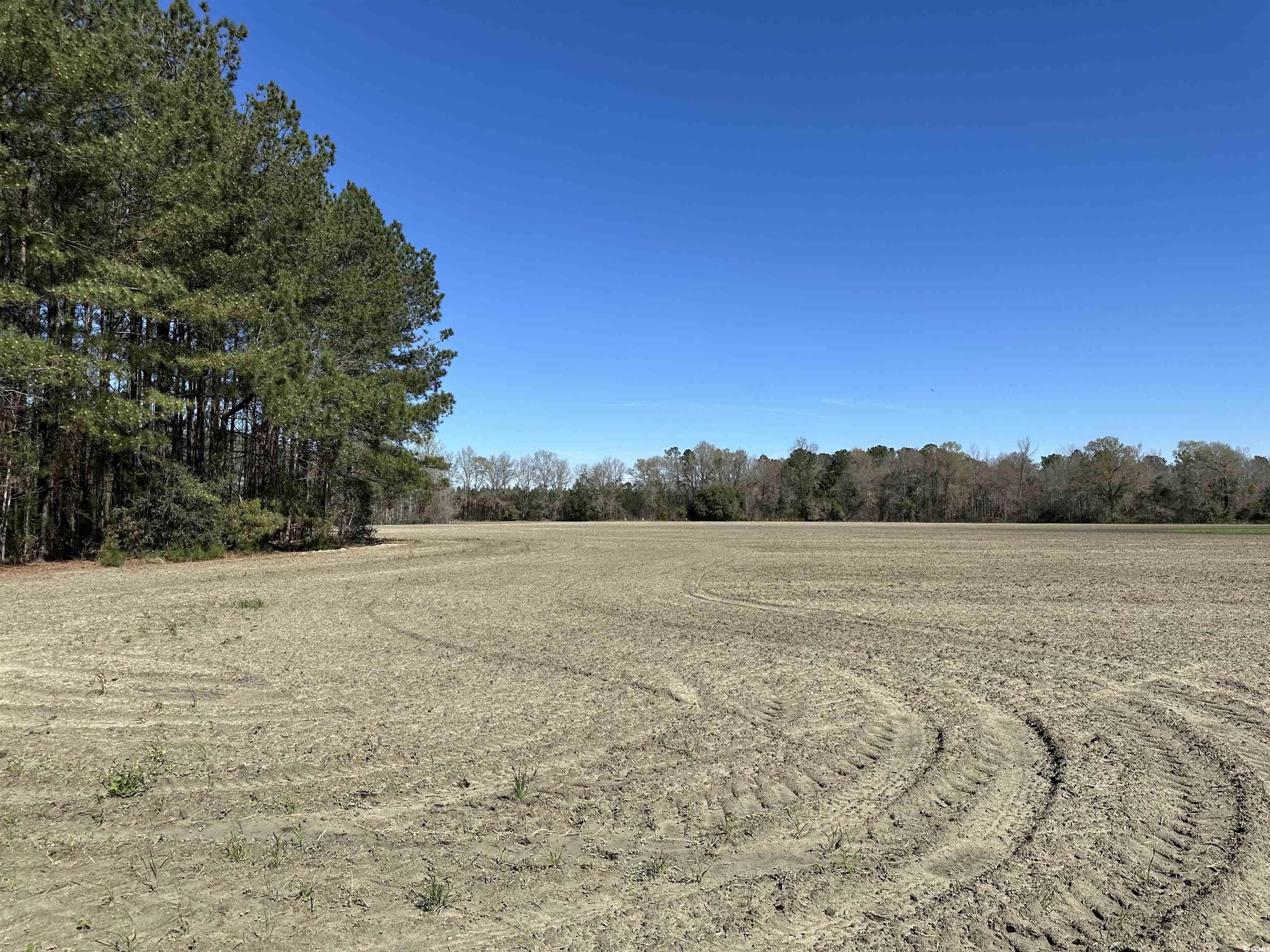 Tbd Spamm Road Greeleyville, SC 29056 - Photo 3 of 15 Gallery Image 3