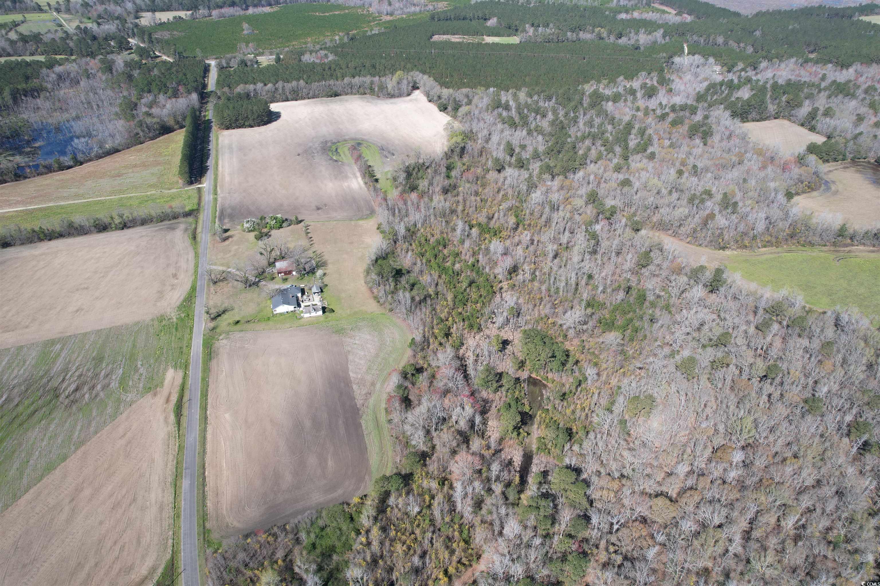 Tbd Spamm Road Greeleyville, SC 29056 - Photo 8 of 15 Gallery Image 8