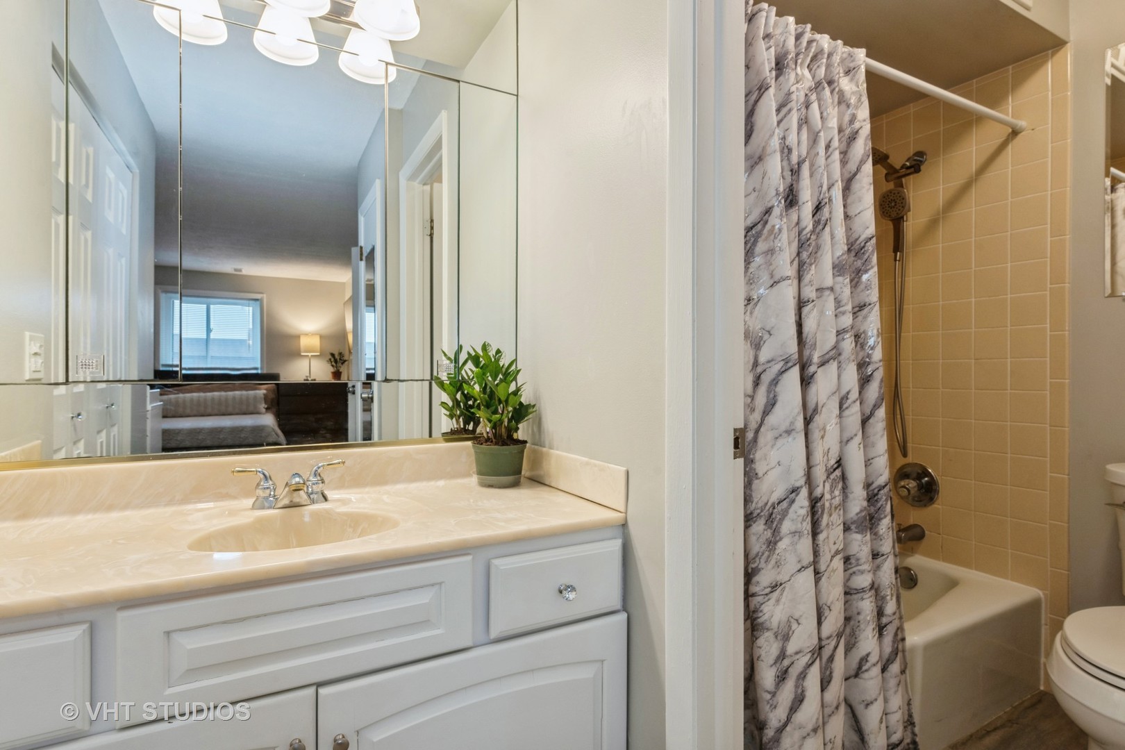 80 South Pleasant Road, Unit 304 Lake Zurich, IL 60047 - Photo 8 of 12 a bathroom with a sink a toilet and a mirror