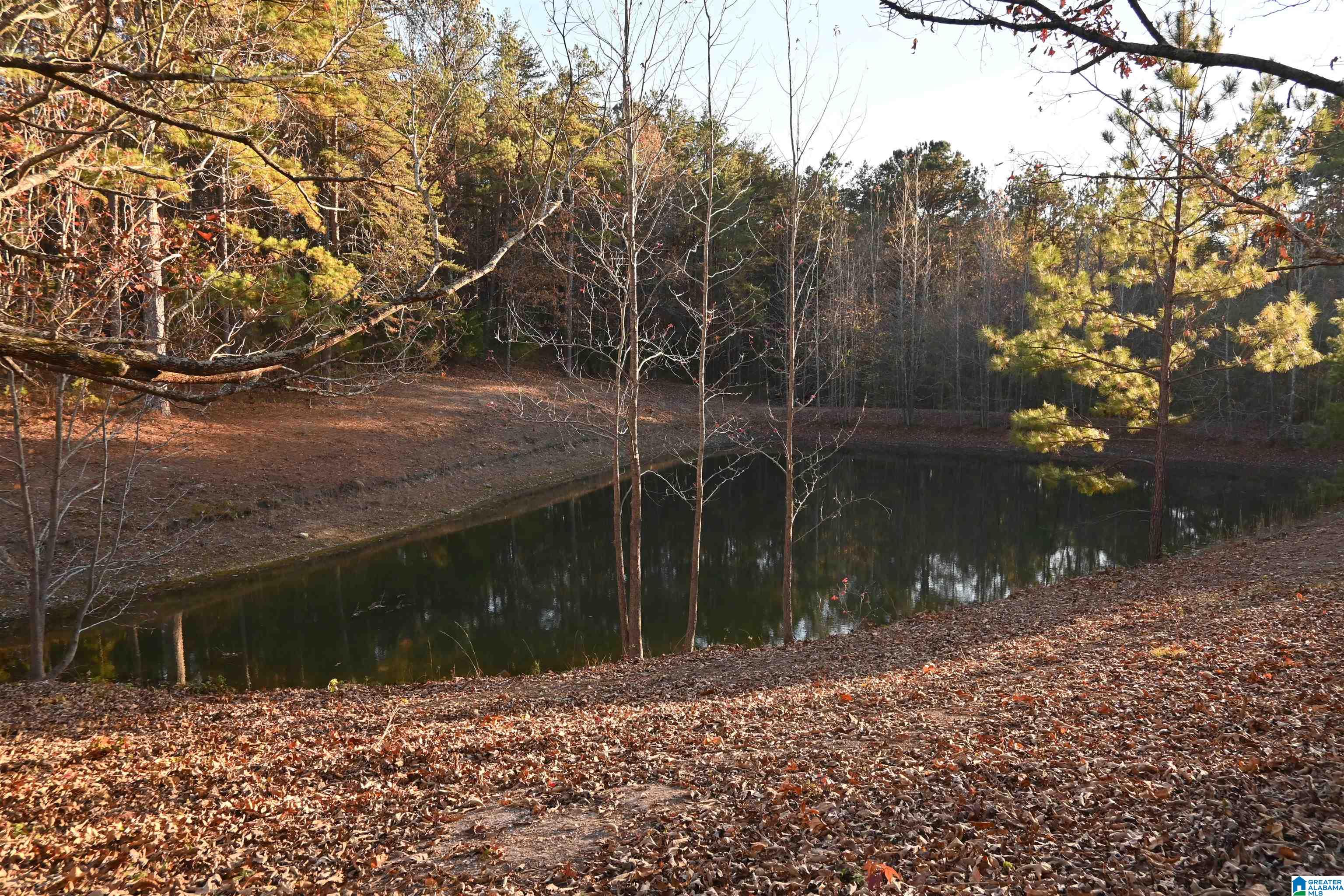 2516 Red Valley Road Remlap, AL 35133 - Photo 58 of 60 Gallery Image 58