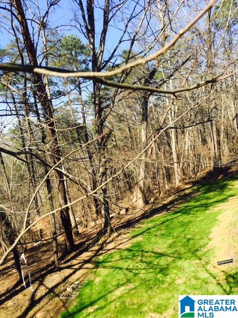 1865 Levine Road Odenville, AL 35120 - Photo 19 of 23