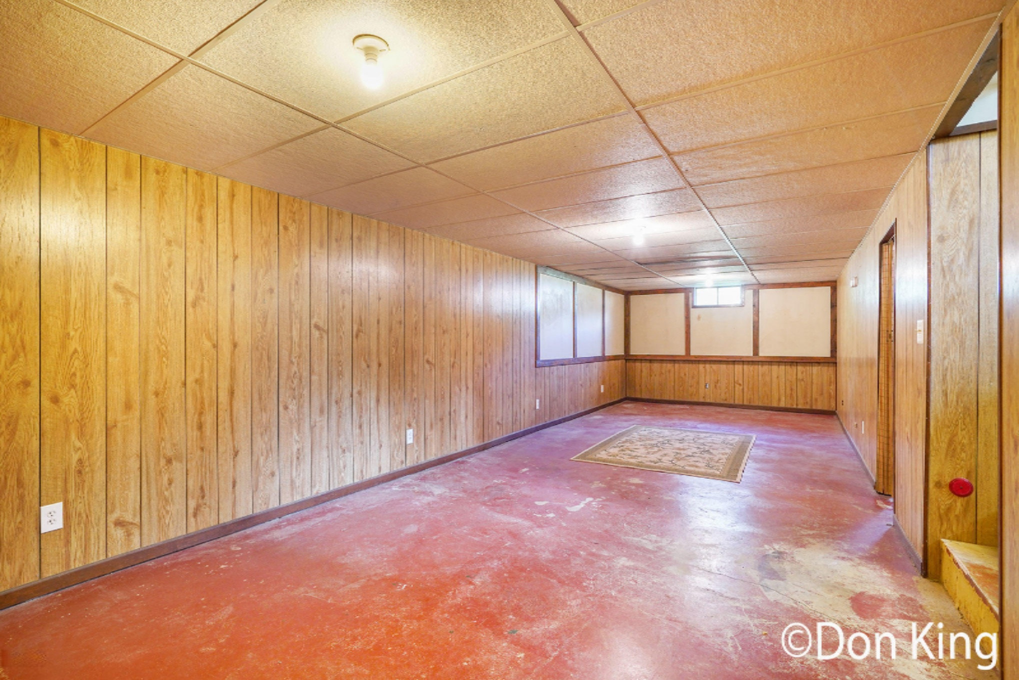3104 Bass Lake Road Pierson, MI 49339 - Photo 14 of 21 Photo-Jul-22,-11-58-13-AM