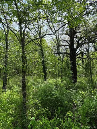 $12,500 | 0 Mallard Road, Licking, MO 65542