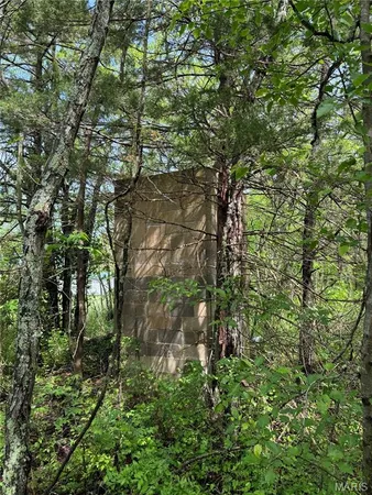 $12,500 | 0 Mallard Road, Licking, MO 65542