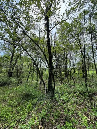 $12,500 | 0 Mallard Road, Licking, MO 65542