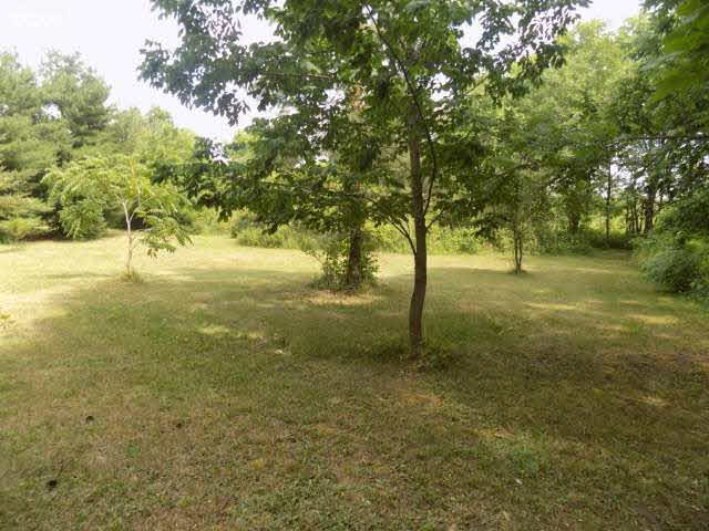 6243 Reid Road Swartz Creek, MI 48473 - Photo 83 of 98 21187519-83.JPG