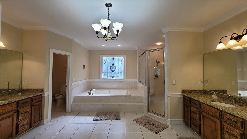 8762 Highway 26 Newberry, FL 32669 - Photo 29 of 63 a spacious bathroom with a granite countertop sink a toilet a mirror and bathtub