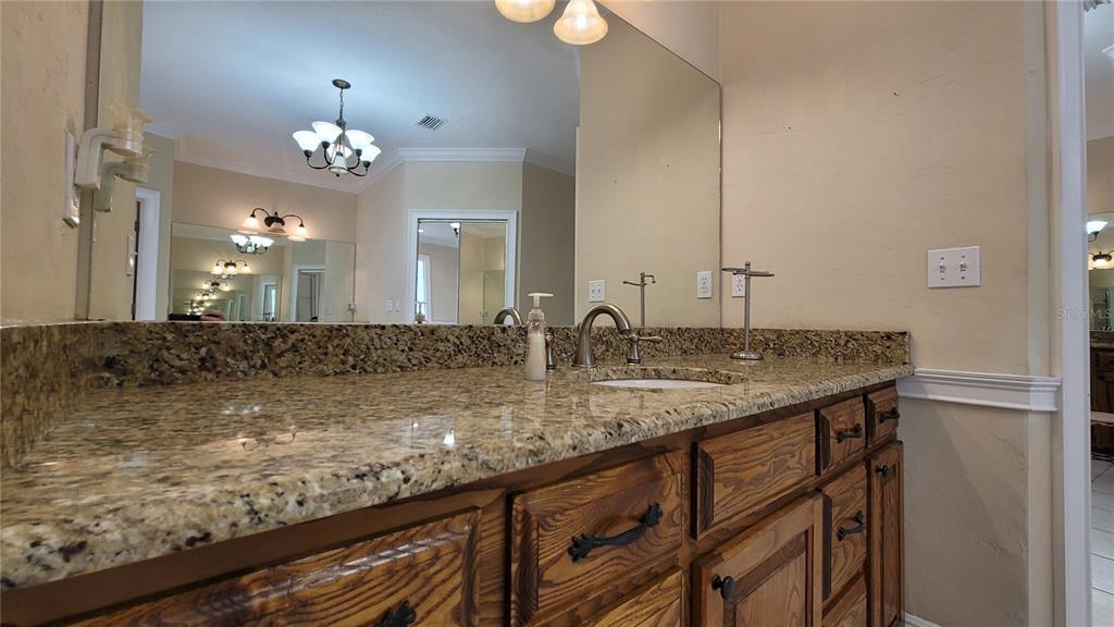 8762 Highway 26 Newberry, FL 32669 - Photo 35 of 63 a bathroom with a granite countertop sink and a mirror