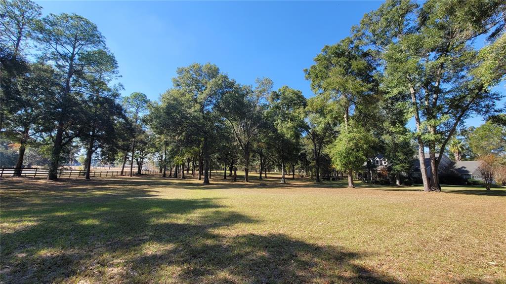 8762 Highway 26 Newberry, FL 32669 - Photo 4 of 63