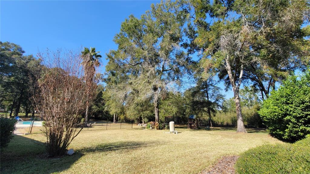 8762 Highway 26 Newberry, FL 32669 - Photo 7 of 63 a view of a yard with a tree