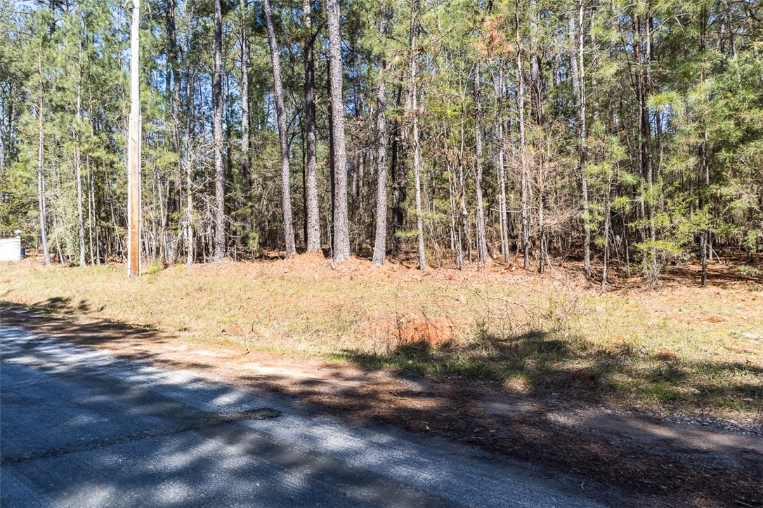 75-5w-8l Deer Track Road Iva, SC 29655 - Photo 4 of 9 Gallery Image 4