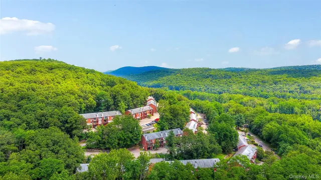 a view of a bunch of flowers in a garden