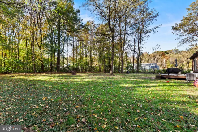 a view of yard with green space