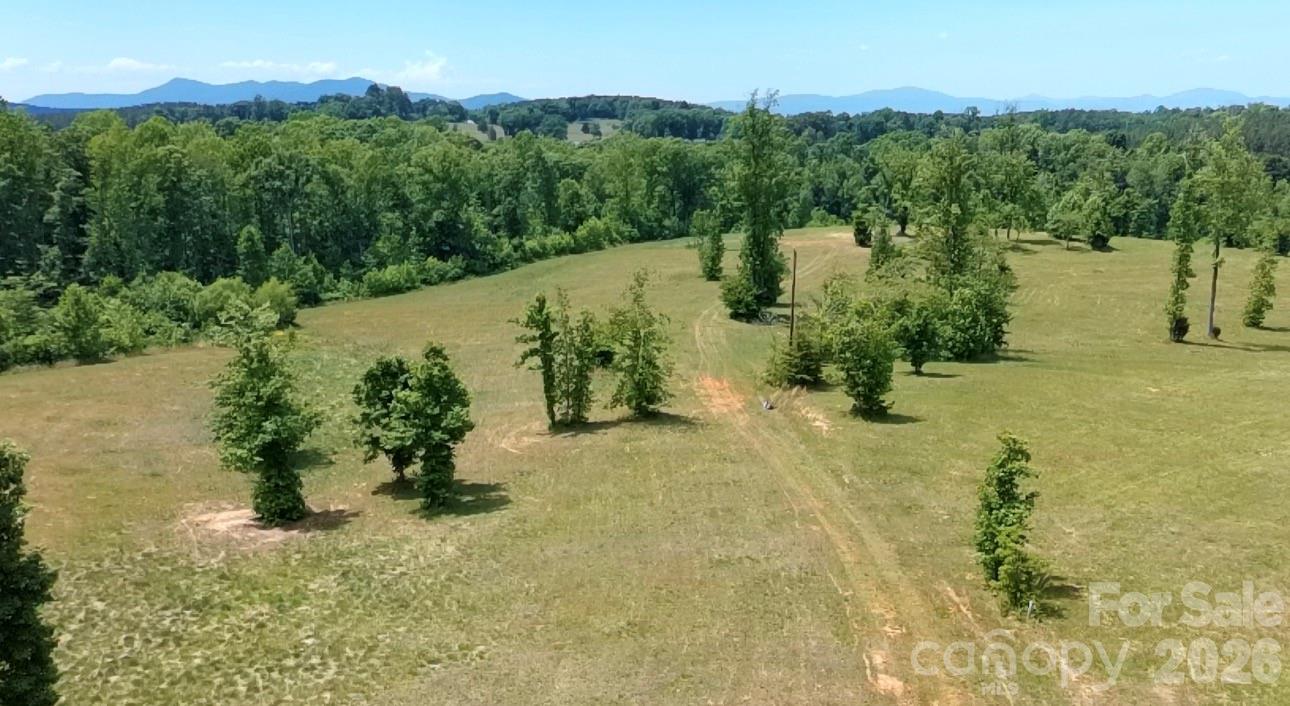 473 McEntire Road Tryon, NC 28782 - Photo 1 of 18