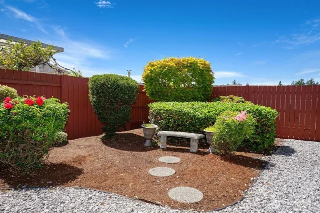 a view of a backyard