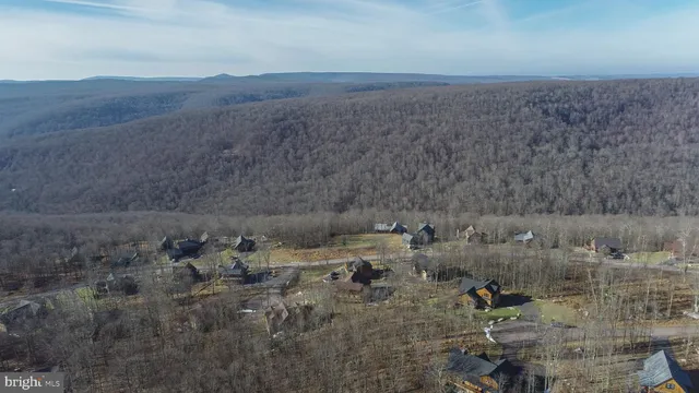a view of a dry field with trees in background