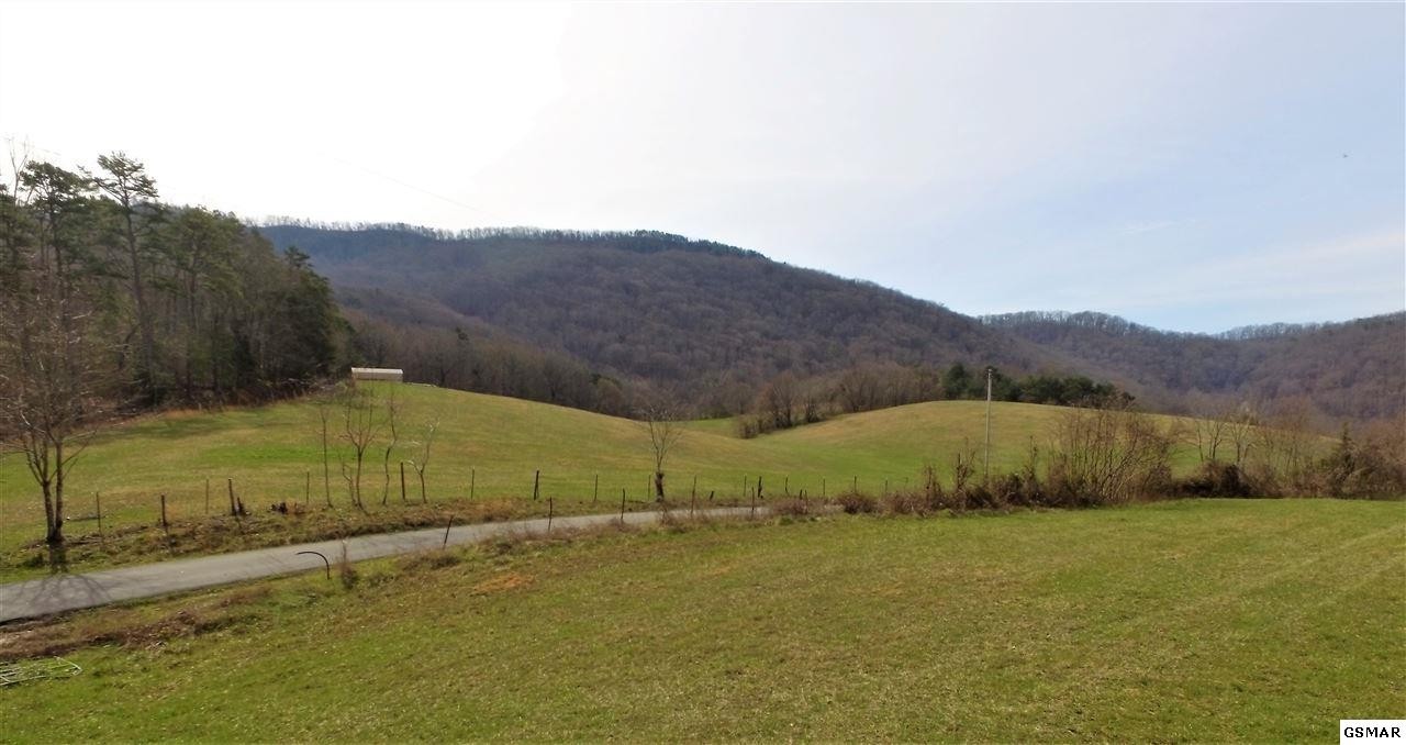 685 Thomas Loop Road Sevierville, TN 37876 - Photo 9 of 18 a view of a backyard