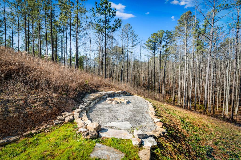 1958 Twisted Oak Road Talking Rock, GA 30175 - Photo 27 of 74
