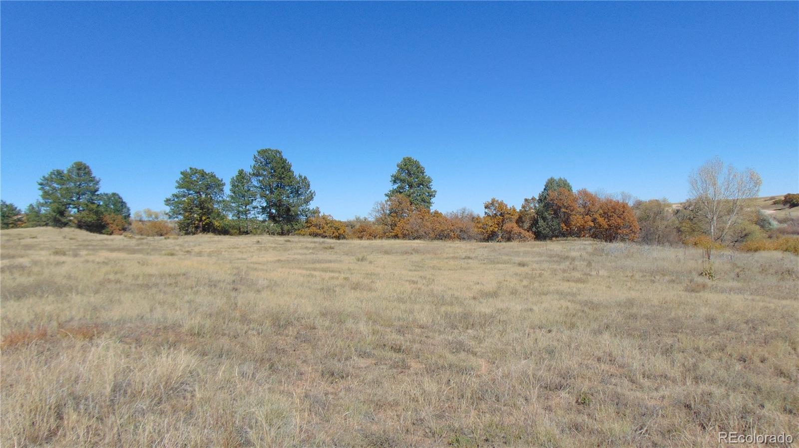 4771 Jackson Creek Road Sedalia, CO 80135 - Photo 3 of 19 a view of a dry yard with trees
