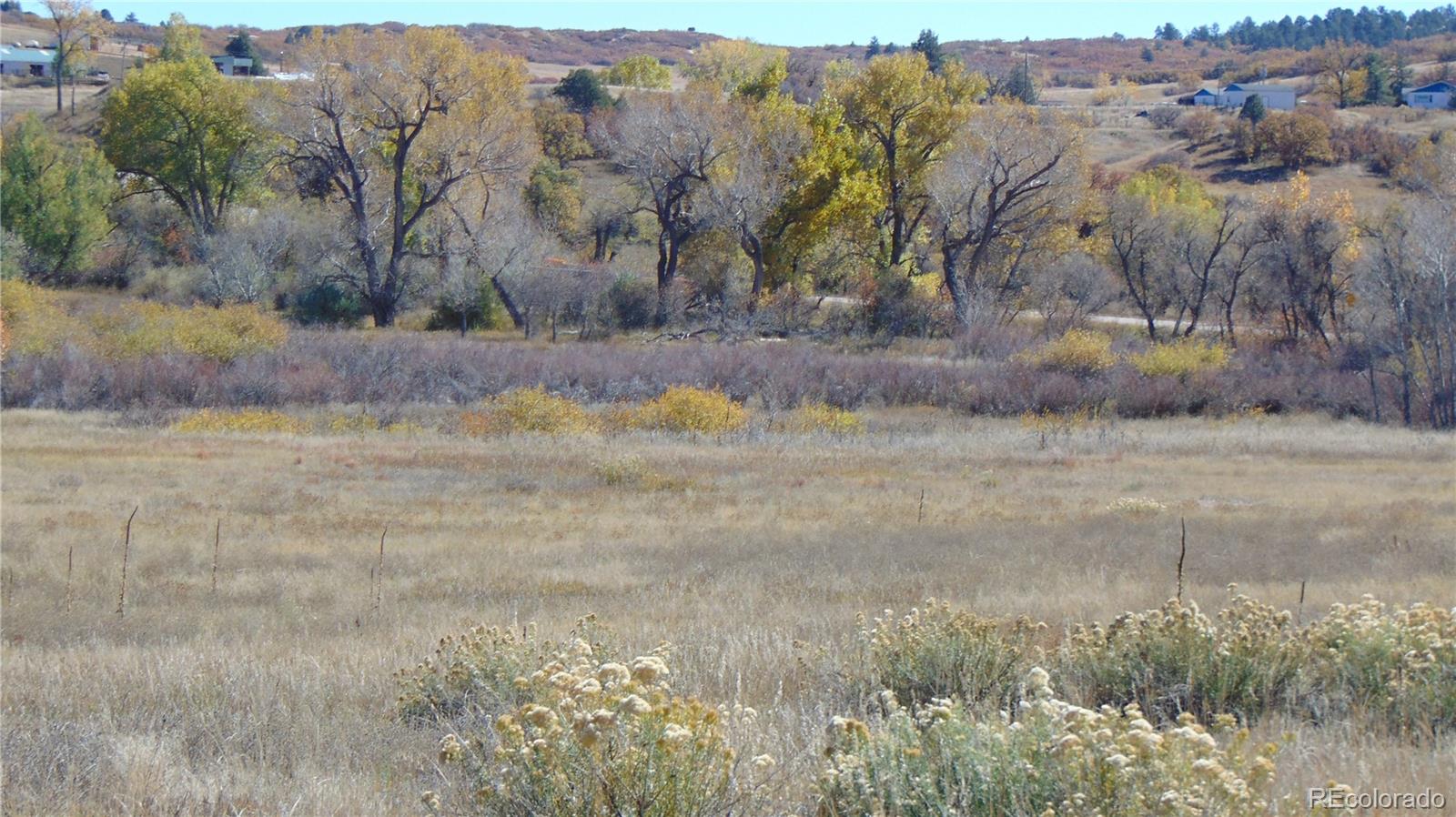 4771 Jackson Creek Road Sedalia, CO 80135 - Photo 6 of 19 a view of a yard with trees in the background