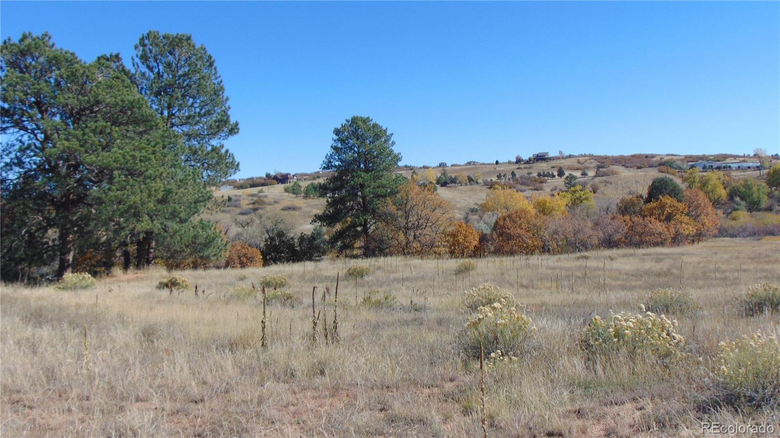 4771 Jackson Creek Road Sedalia, CO 80135 - Photo 7 of 19 a view of a dry yard with trees