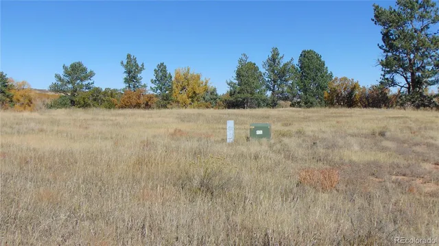 a view of a dry yard