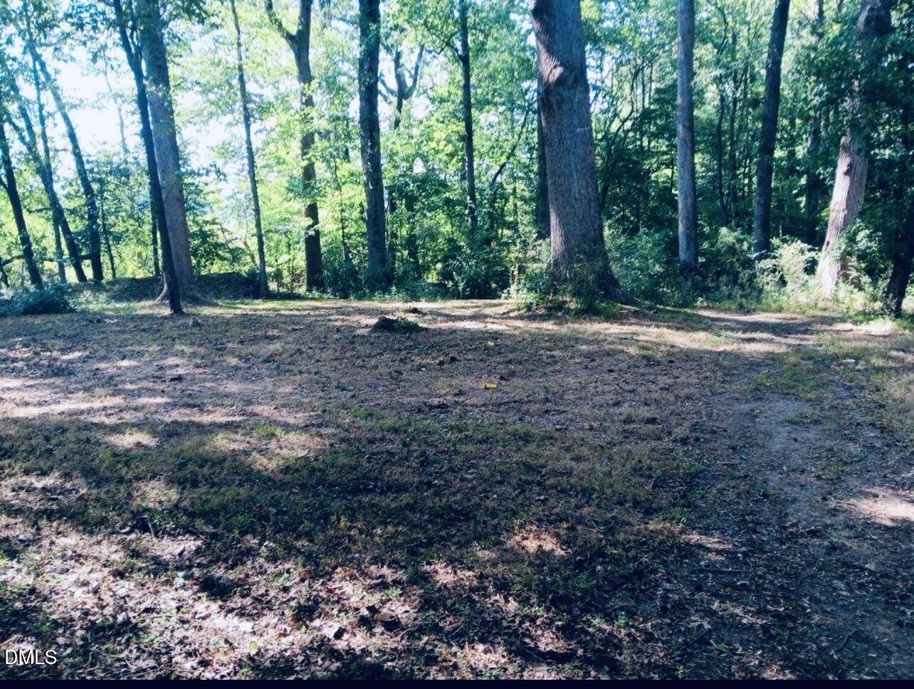 805 Rand Road Garner, NC 27529 - Photo 37 of 38 a view of a forest with trees