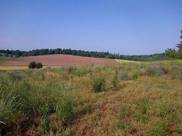 1506 Baileys Road Greenback, TN 37742 - Photo 2 of 5 Greenback land