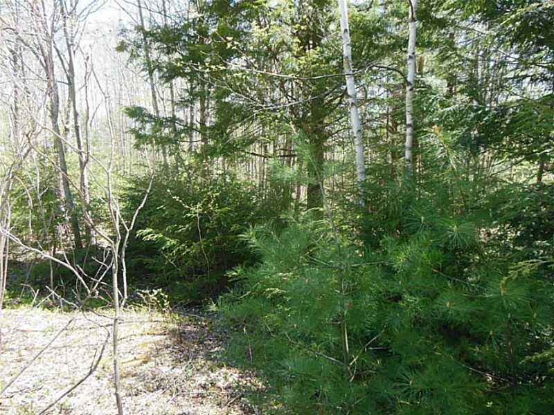 0 Ruby Ridge Road Winthrop, ME 04364 - Photo 4 of 8 Land.