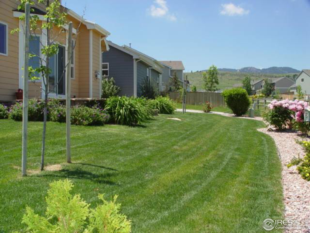3220 Reedgrass Court Fort Collins, CO 80521 - Photo 3 of 12 backyard