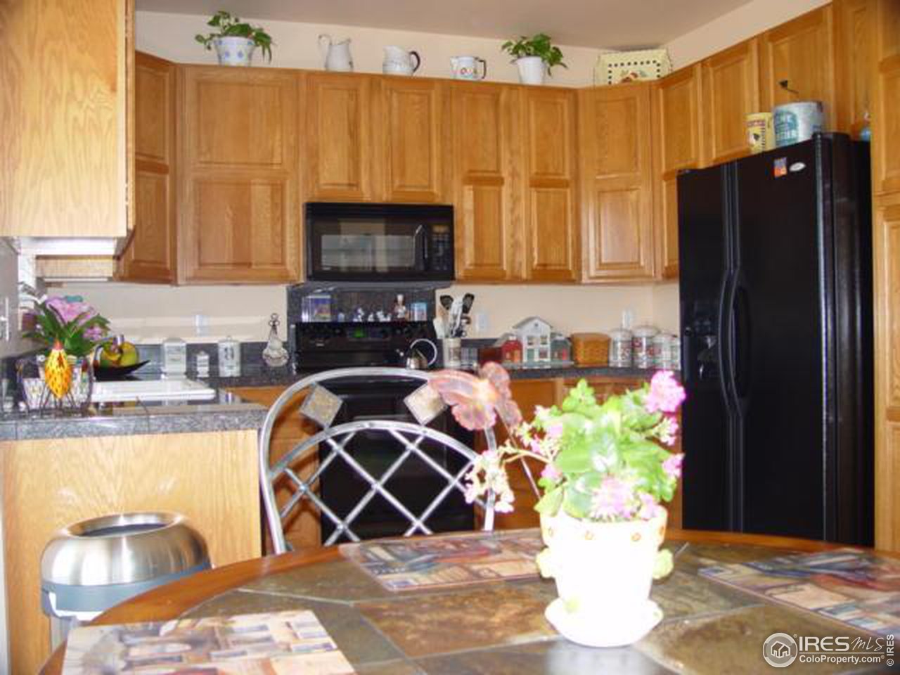 3220 Reedgrass Court Fort Collins, CO 80521 - Photo 5 of 12 Gallery Image 5